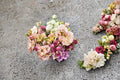 Lisianthus Voyage 1 Plant – Eustoma grandiflorum | Starter Plug Plant