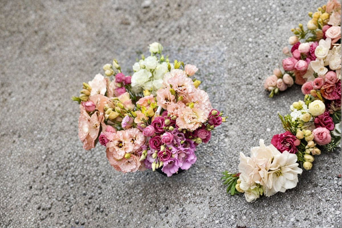 Lisianthus Voyage 1 Plant – Eustoma grandiflorum | Starter Plug Plant