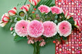Ausimmon Rose Own Root Live Plant – Blush Pink Double Shrub Rose