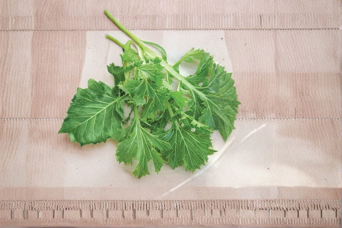 Mizuna Seeds Brassica Rapa Japanese Mustard Greens Leafy Vegetable Garden Plant Fast Growing 150 Seeds