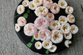 Mansfield Park Rose Own Root Live Plant – Lotus Pink Cut Rose