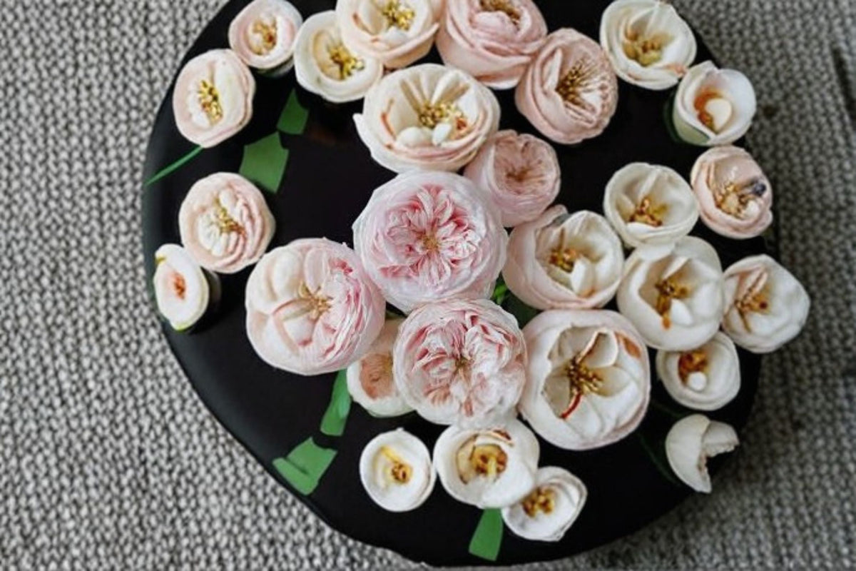 Mansfield Park Rose Own Root Live Plant – Lotus Pink Cut Rose