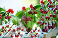 Bing Cherry 6 Cuttings – Prunus avium Fruit Tree Cuttings for Propagation