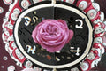 Villa Muze Rose Live Plant – Elegant Pink Cut Rose for Garden and Floral Arrangements