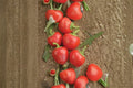 Large Red Cherry Pepper Seeds, Capsicum annuum, Round Chili, Hot Pepper Seeds, Vegetable Garden Planting, 25 Seeds