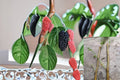 Red Mulberry Cuttings – Morus rubra – Edible Fruit Tree for Propagation, Native Deciduous Tree, Berry Producing Plant