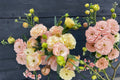 Lisianthus Voyage 1 Plant – Eustoma grandiflorum | Cut Flower & Garden Plant