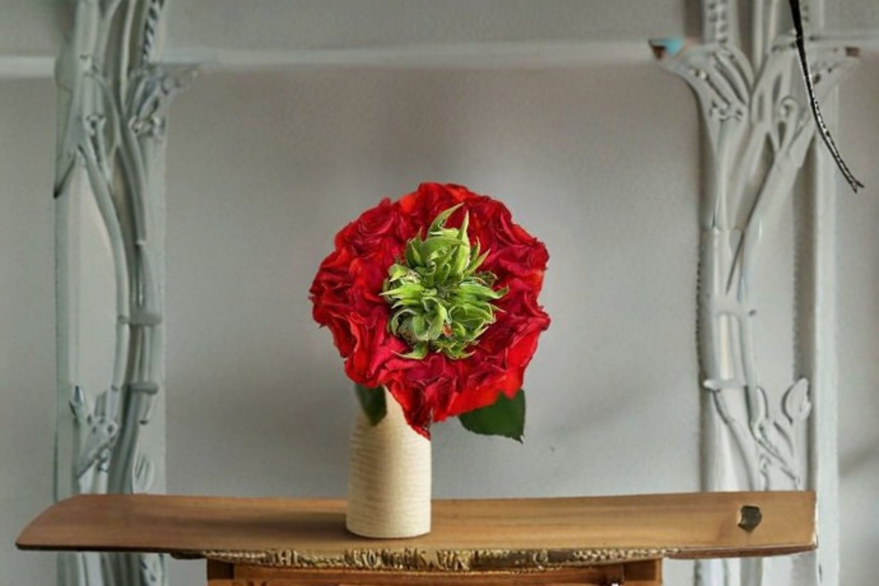 Red Eye Rose Live Plant – Repeat Blooming Shrub Cut Rose in Original Pot