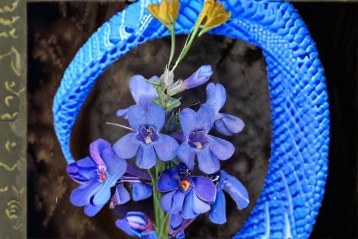 Sand Penstemon Seeds - Penstemon acuminatus Purple Wildflower - Native Perennial Garden Flower Seeds, Drought Tolerant, 50 Seeds