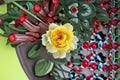 Sunny Antike Rose Live Plant – Fragrant Own Root Yellow Rose