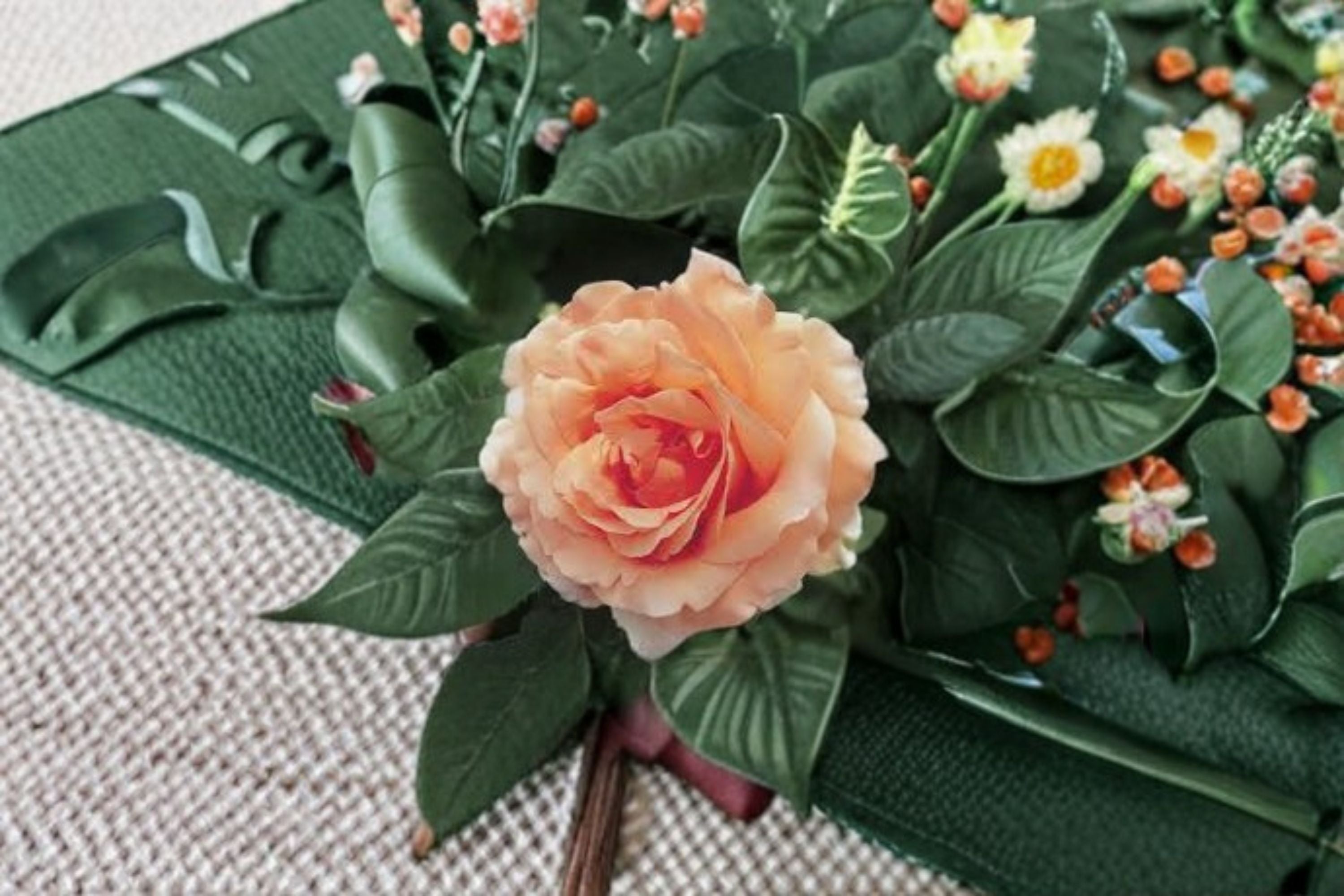 Polka Climbing Rose Live Plant – 1.5 Gal Apricot Peach Climbing Rose