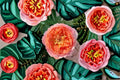 Candy Antike Rose Live Plant – Yellow Pink Antique Garden Rose