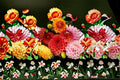 Dahlia 1 Plant – Dahlia pinnata | Vibrant Flowering Plant for Garden Beds & Cut Flowers