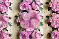 Plume Japanese Rose Live Plant – Pale Pink Cup Shaped Shrub Rose