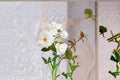 Iceberg Rose Live Plant – 1.5 Gal Floribunda White Rose with Fragrant Double Blooms