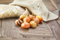 Stuttgarter 1 Lb Non-GMO Allium cepa Onion Sets for Vegetable Gardens