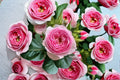 Mon Coeur Rose Own Root Live Plant – Pink Fragrant Garden Rose