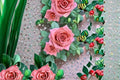 Barista Rose Live Plant – Fragrant Tantau Repeat Blooming Cut Rose