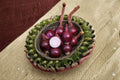 Red Baron 1 Lb Non-GMO Allium cepa Onion Sets for Vegetable Gardens