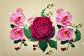 Janice Kellogg Rose Live Plant – Red Velvety Meilland Shrub Rose