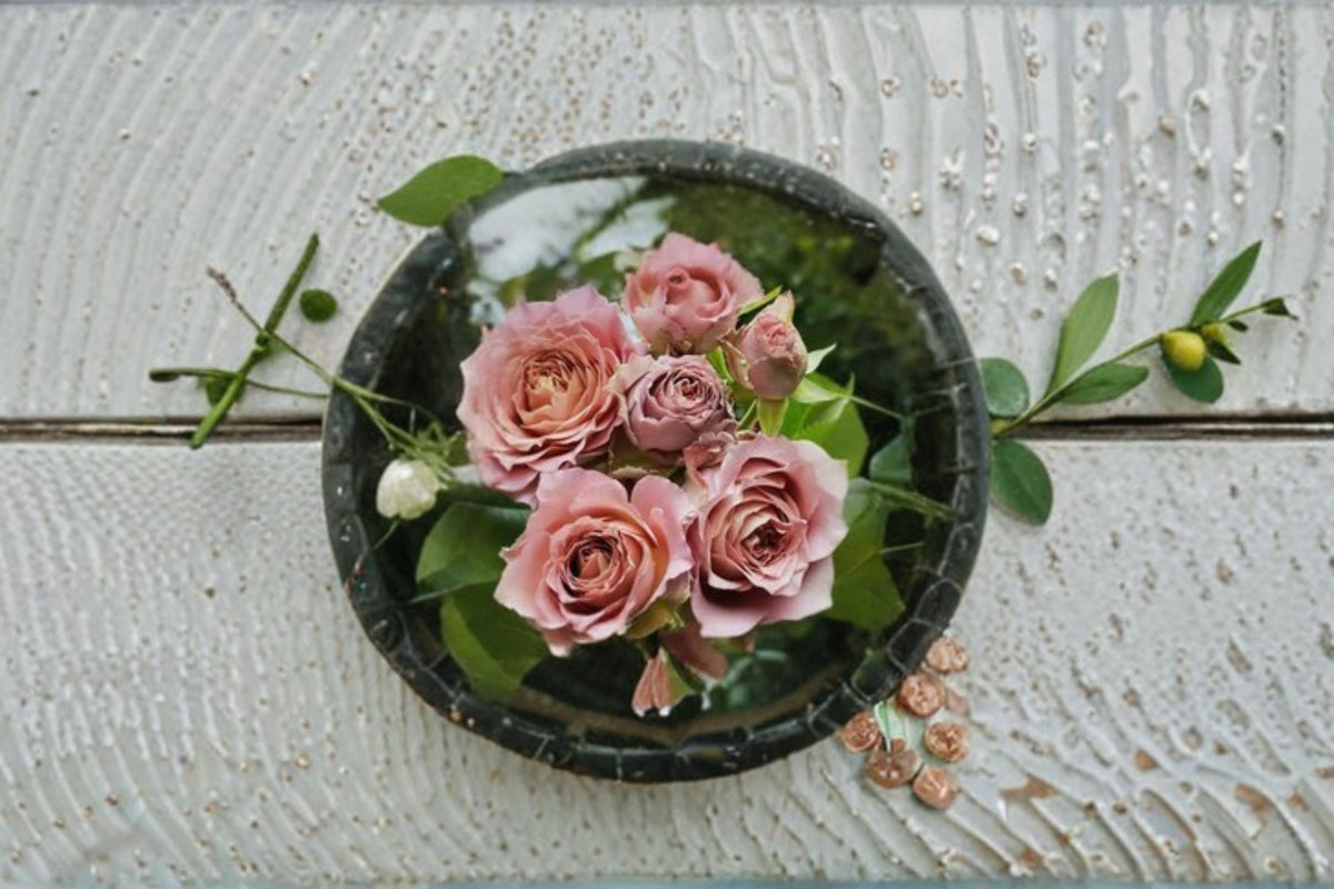 Nachuru Rose Live Plant – Fragrant Japanese Shrub Rose with Repeat Blooming