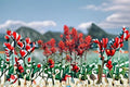 Wyoming Indian Paintbrush Seeds Castilleja linariifolia Red Wildflower Seeds for Native Garden, 300 Seeds