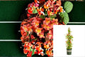 Tangerine Beauty Crossvine Plant – Bignonia capreolata Flowering Vine