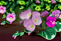 Showy Evening Primrose Seeds - Pink Wildflower, Ground Cover, Perennial, Oenothera speciosa, 100 Seeds