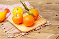 Navel Orange 3 Scions – Citrus sinensis Fruit Tree Cuttings