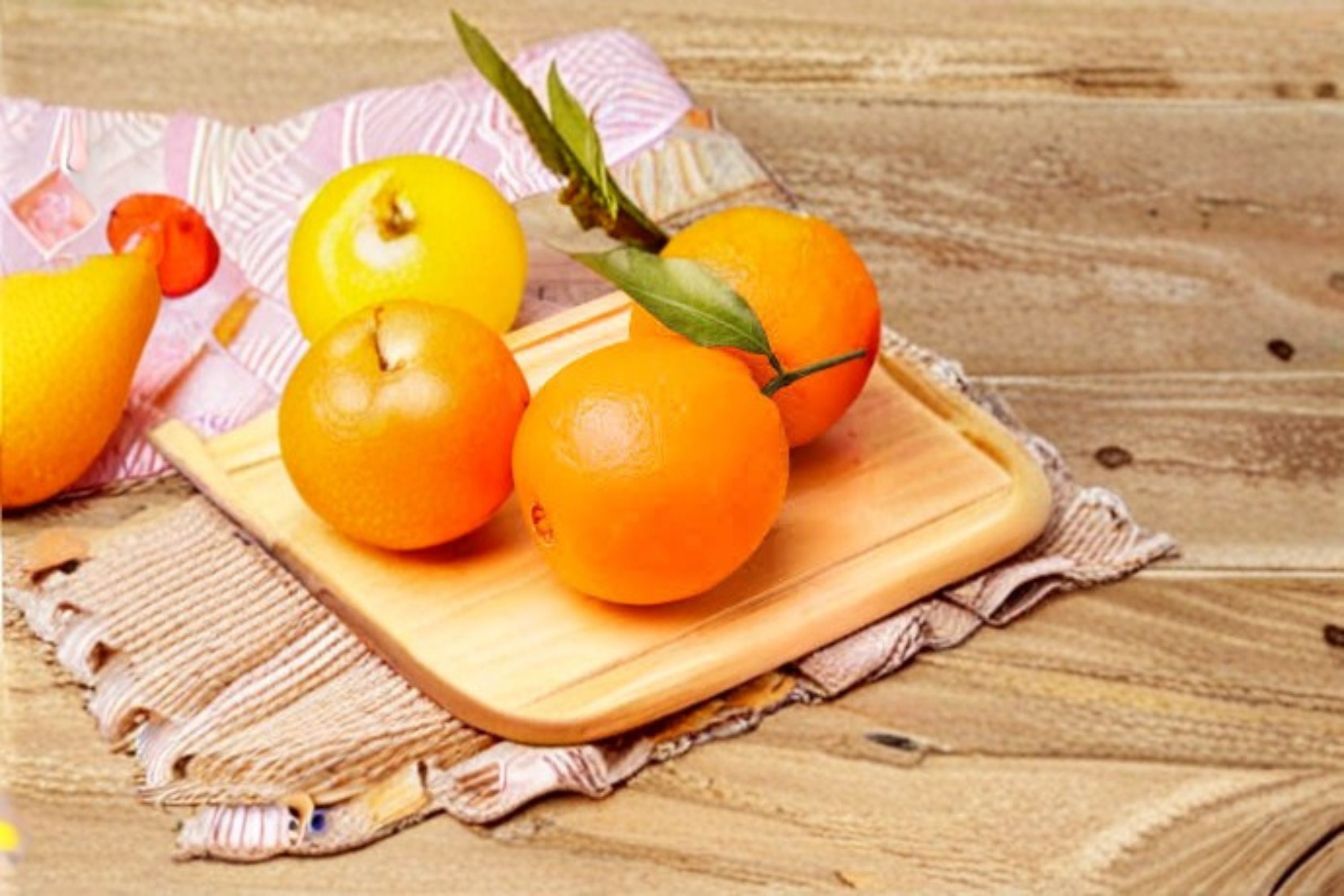 Navel Orange 3 Scions – Citrus sinensis Fruit Tree Cuttings