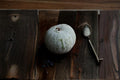 Wax Gourd Seeds, Climbing Vine, Round Winter Melon, Benincasa hispida, Vegetable Garden Planting, 10 Seeds