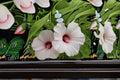 Rose Mallow Seeds Hibiscus Militaris Pink White Perennial Flower Garden Plant for Borders & Meadow
