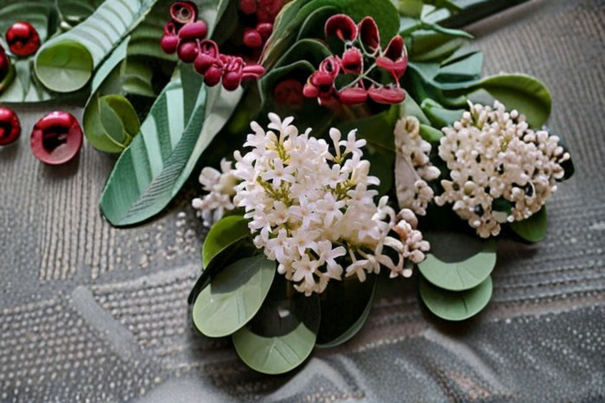 Japanese Tree Lilac Seeds Syringa reticulata White Flowering Ornamental Tree Seeds, 10 Pack