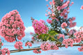 Sioux Crape Myrtle Live Plant – Pink Flowering Shrub for Full Sun Gardens
