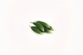 Bitter Gourd Seeds, Climbing Vine, Momordica charantia, Vegetable Seeds, Trellis Plant, Outdoor Gardening, 5 Seeds