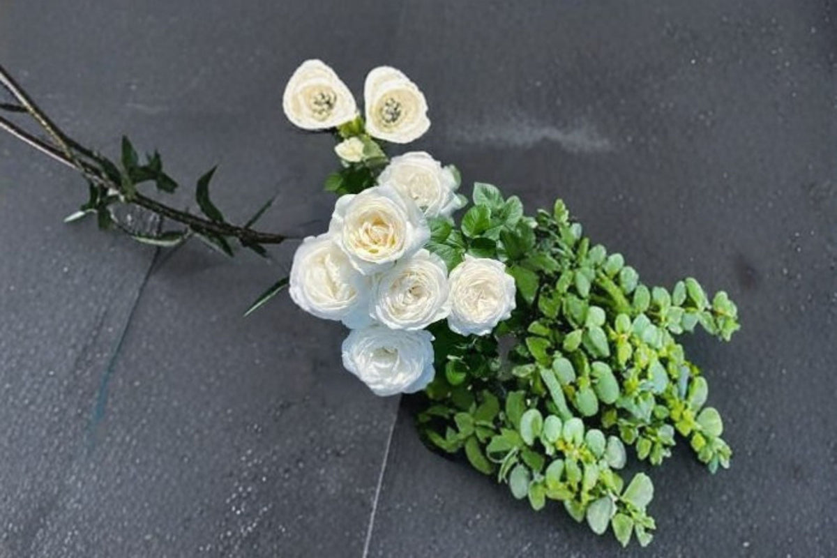 Roads of Wedding Rose Live Plant – Fragrant Pure White Cut Rose