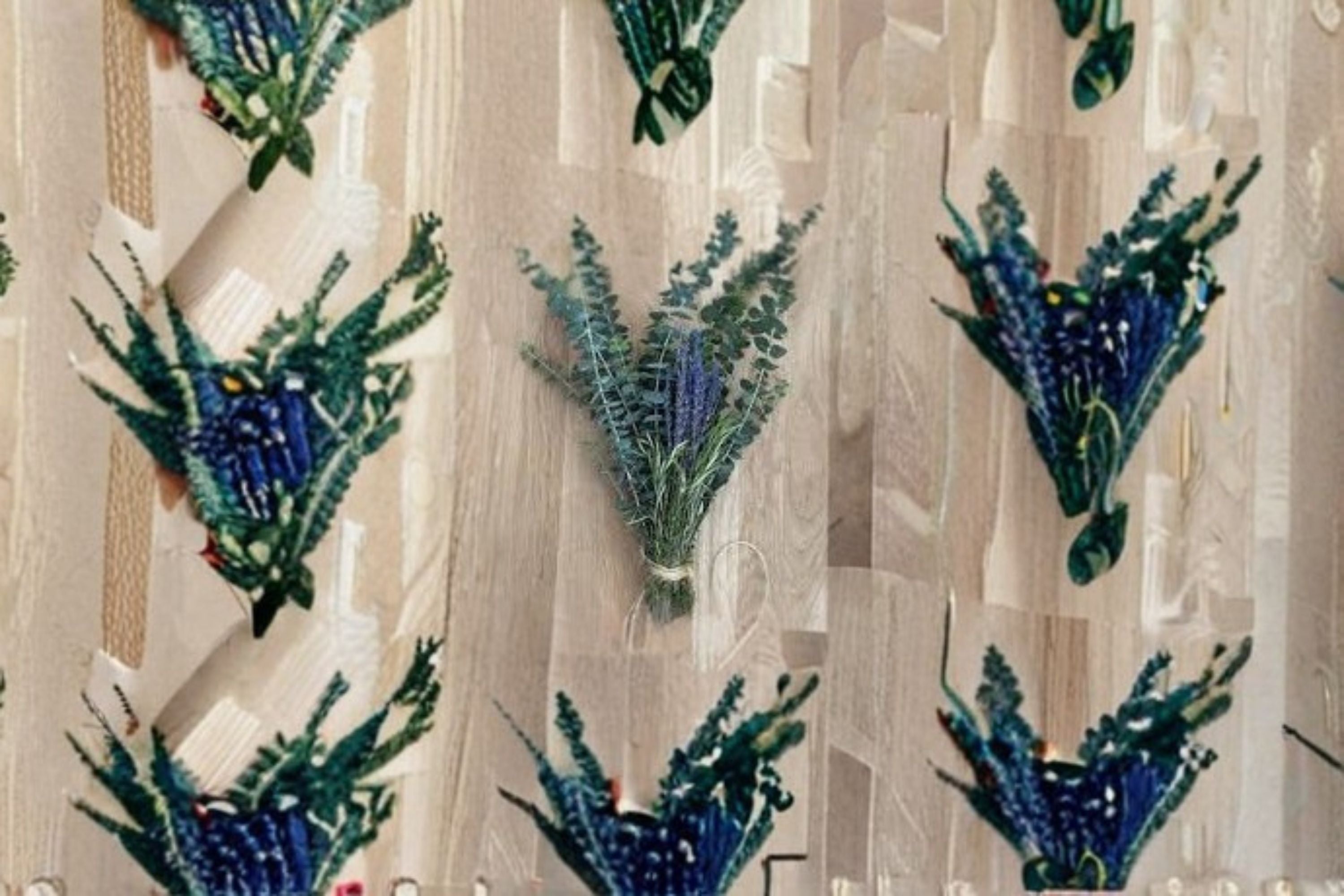 Eucalyptus Bundle 4 Stems – Eucalyptus cinerea | Fresh Cut Silver Dollar Eucalyptus