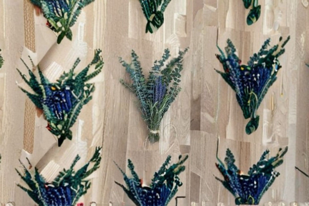 Eucalyptus Bundle 4 Stems – Eucalyptus cinerea | Fresh Cut Silver Dollar Eucalyptus