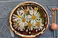 Heath Aster Seeds, Symphyotrichum Pilosum, White Wildflower, Perennial Garden Flower, 100 Seeds