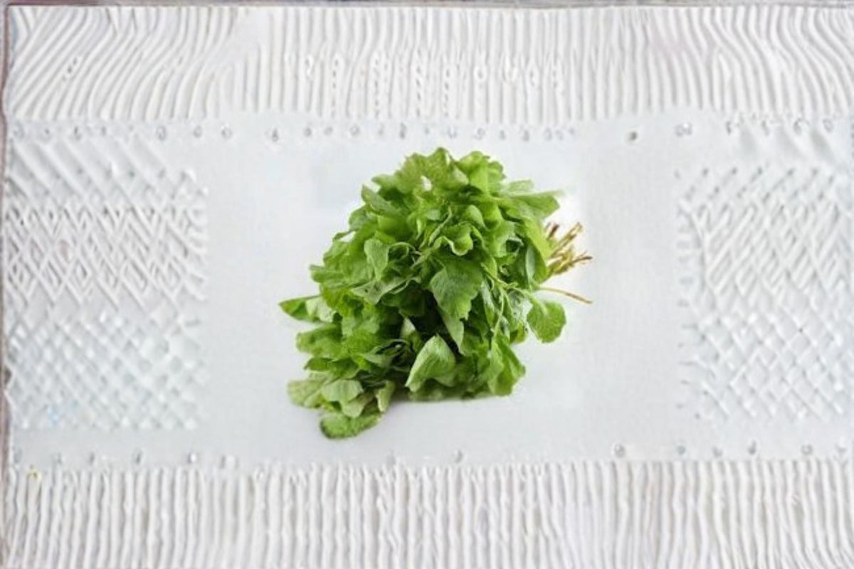 White Leaf Amaranth Seeds, Amaranthus mangostanus, Leafy Green Vegetable, 500 Seeds
