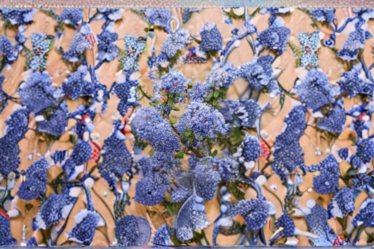 California Lilac Cuttings – Ceanothus Blue Flowering Shrub – Unrooted Live Plant Propagation Material