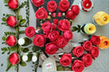 Garden Princess Marie José Rose Live Plant – Cherry Pink Fragrant Compact Rose