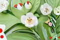Japanese Woodland Peony Seeds - Paeonia japonica White Flower, Shade Garden Perennial Seeds, 5 Pack