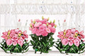 Lisianthus Rosita 1 Plant – Eustoma grandiflorum Live Flowering Plant