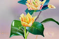 Tulip Tree Live Plant – Liriodendron tulipifera Ornamental Shade Tree