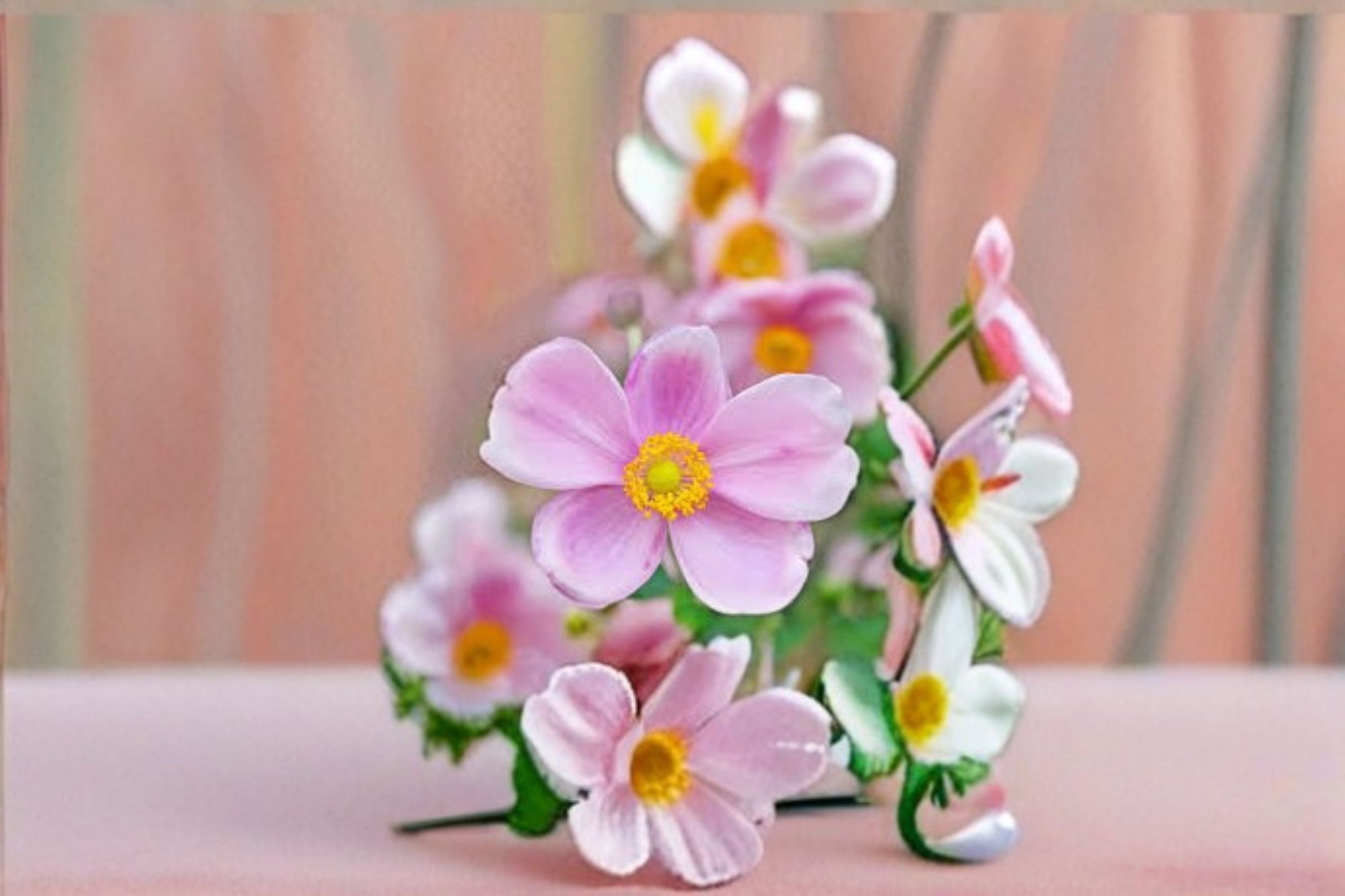 Pink Japanese Anemone 'Robustissima' Bare Root Plant | Anemone tomentosa