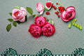 Autumn Rouge Rose Live Plant – Fragrant Heat Tolerant Shrub Rose
