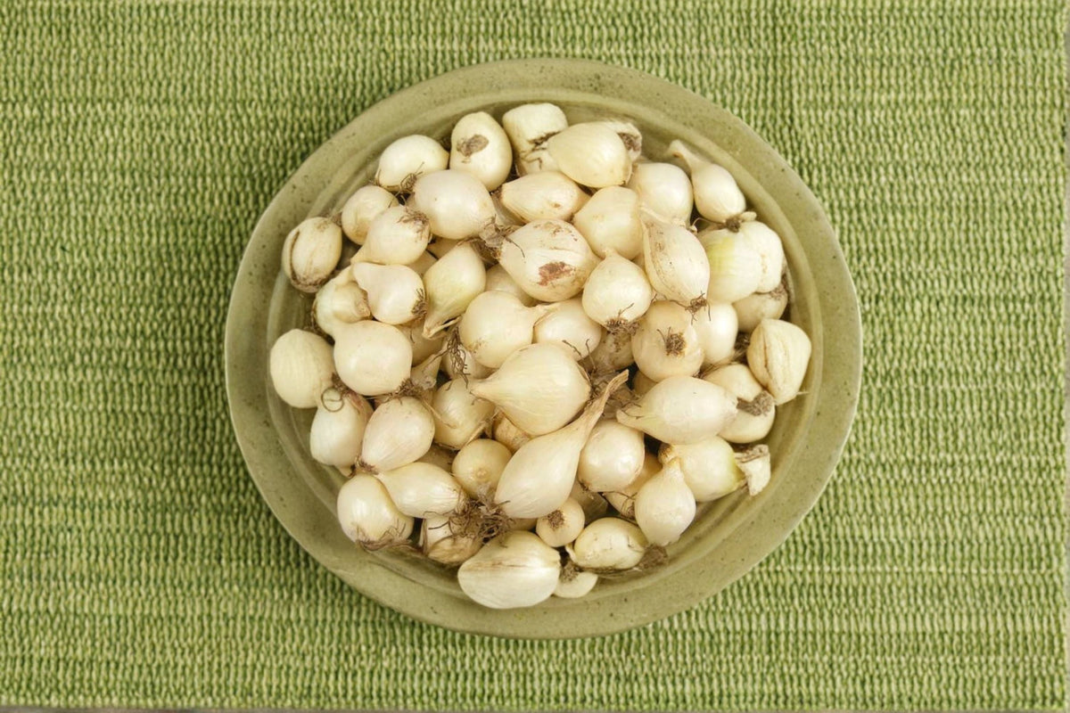 White Ebenezer 8 oz Non-GMO Onion Sets – Allium cepa Bulbs for Vegetable Gardens