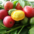 3 Fresh Hog Plum Cuttings – Spondias purpurea Tropical Fruit Tree Unrooted Live Stems for Propagation