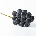 Japanese Kyoho Grape Cuttings – Unrooted Vitis vinifera × Vitis labrusca, Large Juicy Fruit, Grow Your Own Table Grapes